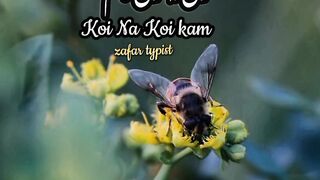 Kuch na Kuch karty rahy islamic status