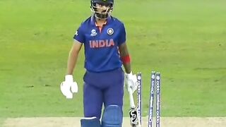 cricket