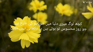 Yellow beautiful flowers for beauty lovers