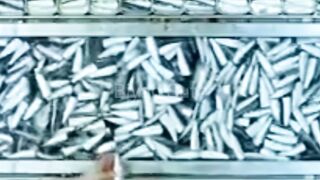 Mass production of sardines
