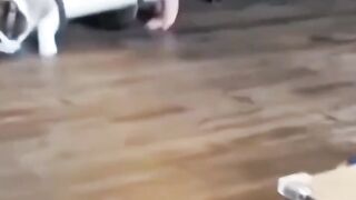 Funny Moments That Will Make You Laugh Out Loud