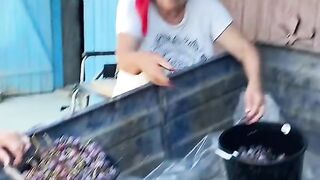 ГРОЗДОБЕР В МОЛДОВА