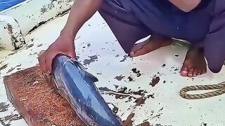 In order to catch big fish, you have to use big bait too