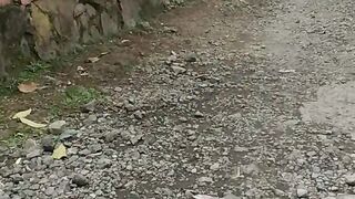 Beautiful street