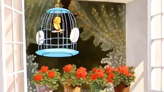 Tom And Jerry