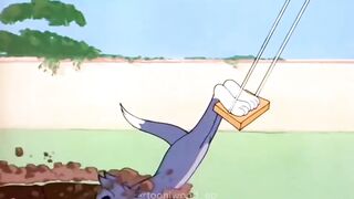 Tom And Jerry