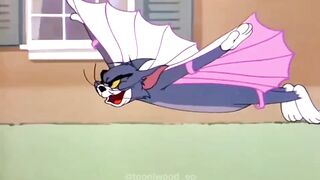 Tom And Jerry