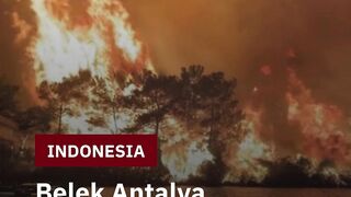 Kebakaran Hutan Belek, Antalya Ancaman Besar di Kawasan Wisata
