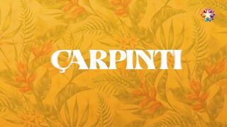 Çarpınti episode 2 part 1 with english subtitles