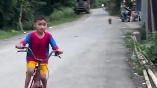 Corevidio