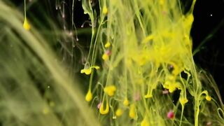 Does C o i n b a s e Work 24 Hours 247 Available? Speak With a Rep