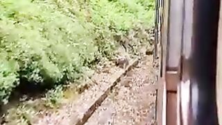 Sri Lanka Train Trip Bandarawela to Ella Views