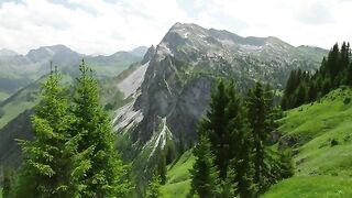 Nature Beauty  Captured in 12K Ultra HD