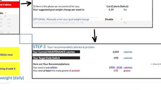 Step 3 Recording Your Recommended Calorie And Protien Intake