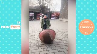 Try Not to Laugh Challenge   Funniest Video Clips Ever!
