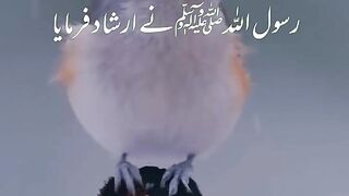 Beautiful Irshad e Nabvi