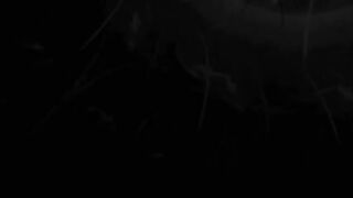 Gameplay dreadout 2
