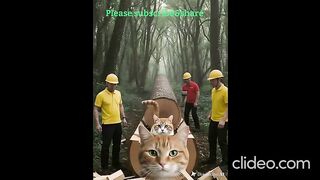Workers Hammering  Animal Movements