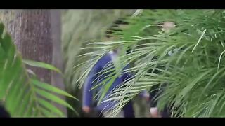 King the land episode 3 Hindi dubbed