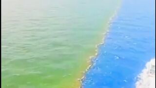 Pani jaisa bano narmi bhi apni jagah, taqat bhi apni jagah.