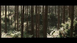 Clash of the Titans (2010) - Calibos Attacks