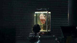 Alien Earth observation .