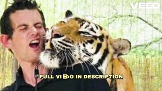 [Clip] tiger king cast tiger king ryan easley tiger king easley tiger attack joe exotic