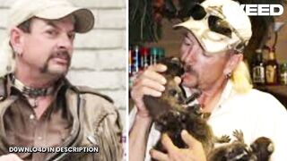 Clip tiger mauling tiger king associate tiger king associate mauled mauled by tiger
