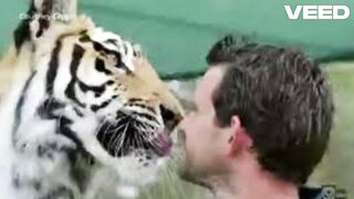 Link tiger king cast tiger king ryan easley tiger king easley tiger attack