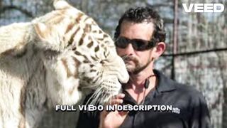 [Trending] tiger mauling tiger king associate tiger king associate mauled mauled by tiger