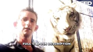 [Watch] ryan easley tiger tiger king trainer killed tiger king joe exotic tiger king joe