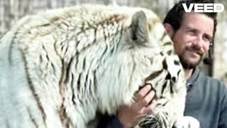 Full ryan easley tiger tiger king trainer killed tiger king joe exotic