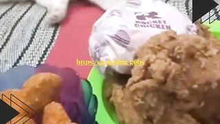 Kucingnya Niat Nyolong, Tapi Pura-Pura Tidur Dulu  Ketahuan Lagi!