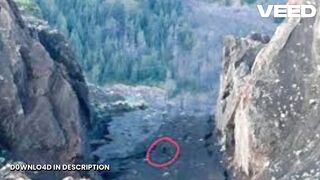 Watch portal do zacarias juliana marins