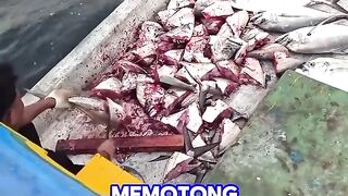 Fishing using large pieces of fish as bait