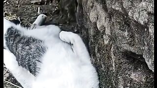 لمه اخلص شغل وانامههههههههههه