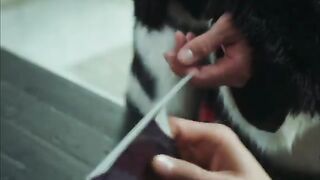 Goblin or doek hwa core