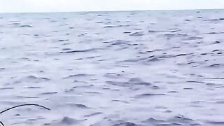 Man vs MASSIVE Marlin!
