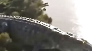 the discovery of the largest crocodile in the world