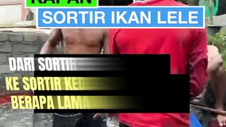 Kapan sortir leleDari sortir pertama ke sortir kedua berapa lama