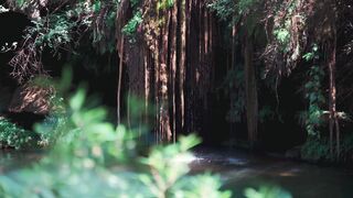 bhootiya jungle