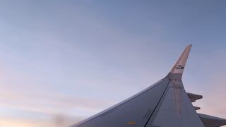 If You Traveler by airlines Soo it is very use pdf must read