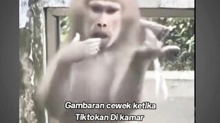 cewek kalau sedang main tiktok hehe memelucu