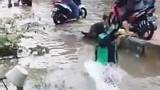 Digoyangin Aja