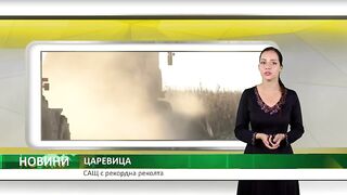 РЕКОРДНА РЕКОЛТА ОТ ЦАРЕВИЦА В САЩ