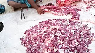 Program for everyone