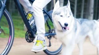 Withmydog