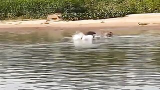 If it wasnt recorded, no one would really believe it.