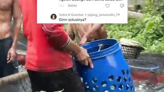 Ikan lele LUKALECET Setelah disortirIni solusinya Jaring