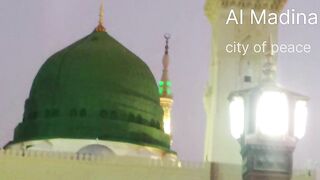Riaz Ul Hannah in Masjid E Nabvi pbuh.